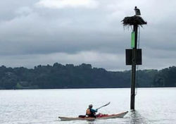 298058357_10224929264236524_9174650693074862976_n