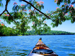 288743263_10224694740813585_4715355036155813560_n